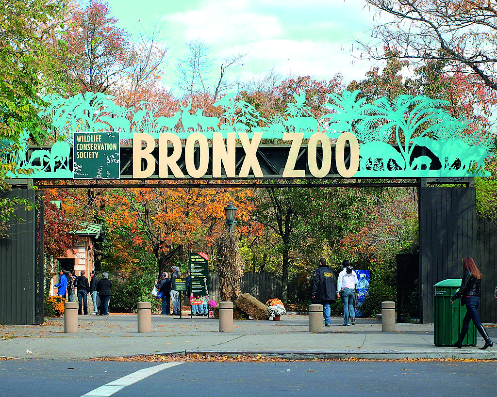 Bronx Zoo: Una experiencia  divertida y salvaje