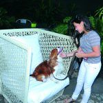 Montserrat Varela y Cooper Miguel