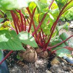 img_20140624_114312-3