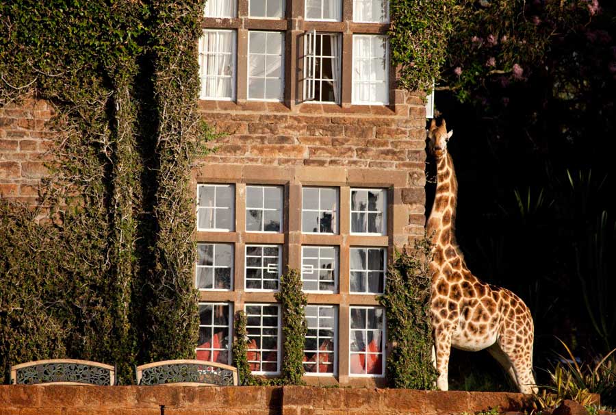 Giraffe Manor: Desayuna con las Jirafas