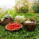 iStock-855156560