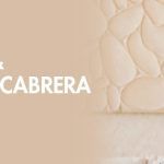 ZNheader-ZN-FB