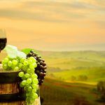 Una ruta de exquisitos sorbos que aderezan el paladar