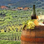 Una ruta de exquisitos sorbos que aderezan el paladar