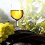 Una ruta de exquisitos sorbos que aderezan el paladar 8 Destinos de turismo enológico