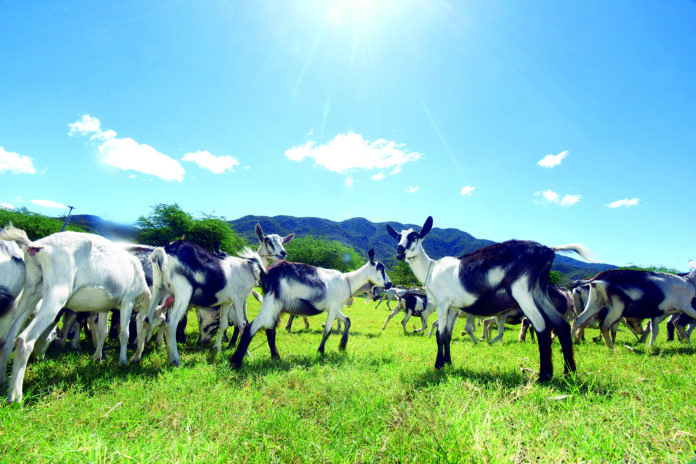 Rancho Caprache