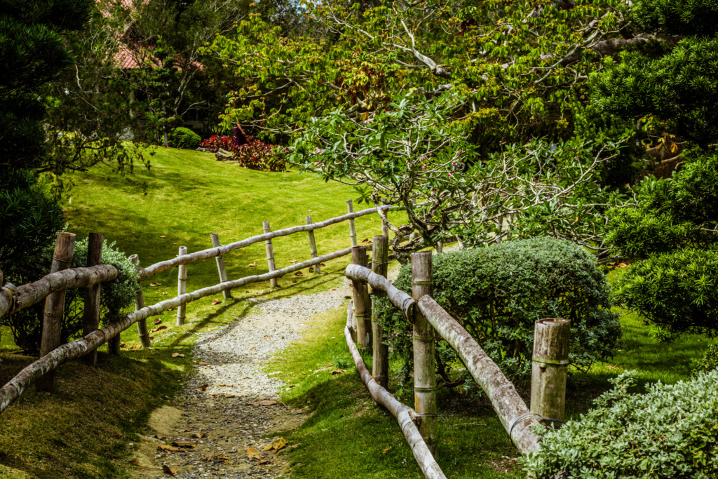 Una escapada romántica: entre los los jardines para celebrar el amor 2 shutterstock 1927752857