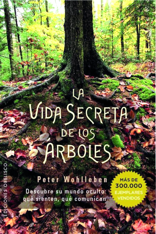 Nuestra huella en el mundo, documentales y libros para aprender sobre el planeta 2 4. 22La vida secreta de los arboles22 – Peter Wohlleben