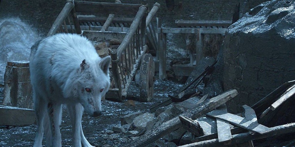 Dan vida al lobo huargo de Casa Stark en serie 'Juego de Tronos', extinto hace 13.000 años 1 5cd33a81cd375