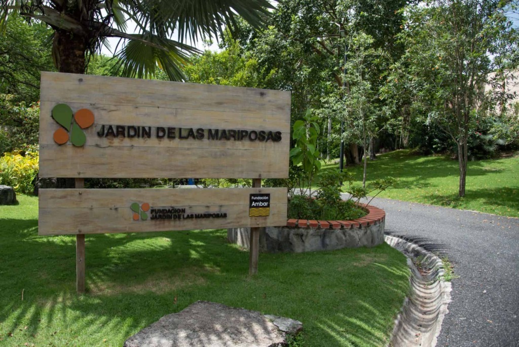 Mariposario Jardín Botánico de Santo Domingo 3 banca de madera en un jardin b8102527