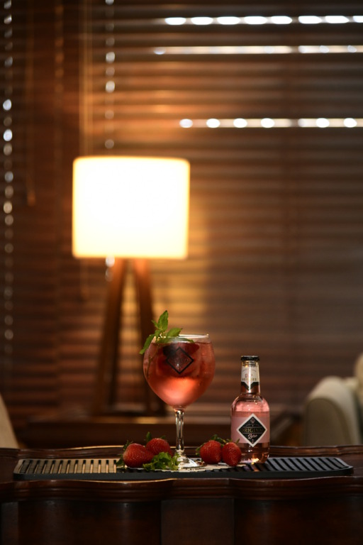Gin tonic de frutos rojos: Un trago chic y refrescante para toda ocasión 1 DSC7192