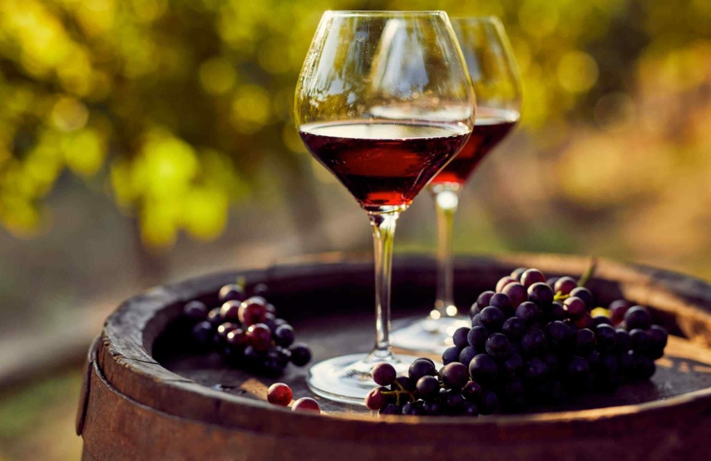 Guía para disfrutar de un buen Vino 1 Vino