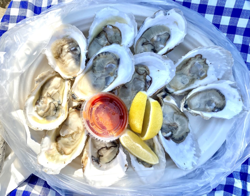 3 TESOROS DE MARTHA'S VINEYARD 2 IMG 2376