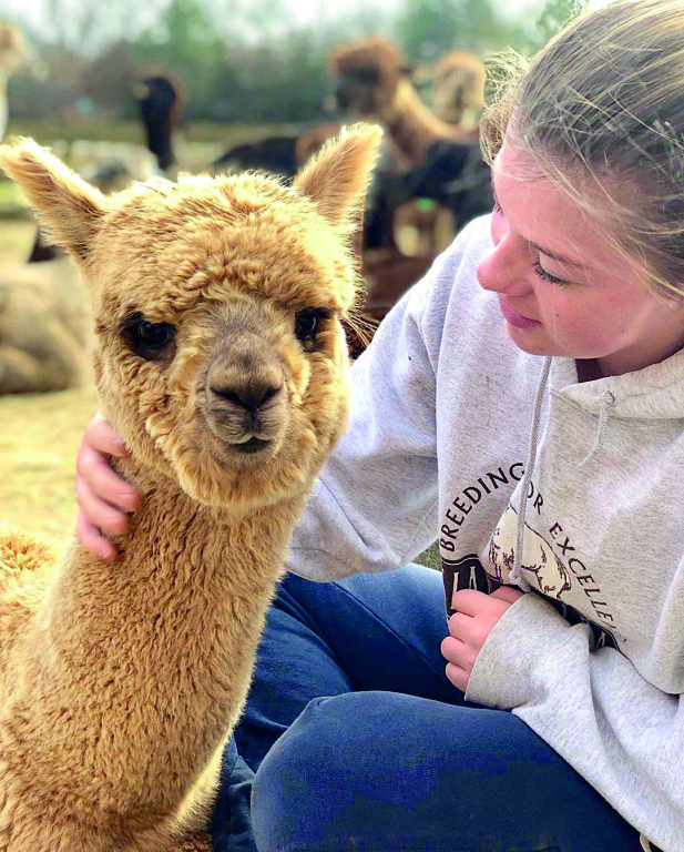 Island Alpaca Farm el lado mas suave de la isla: Lana, Calma y Carisma Animal 3 SUMARIOS Island Alpaca Alexis Hugs