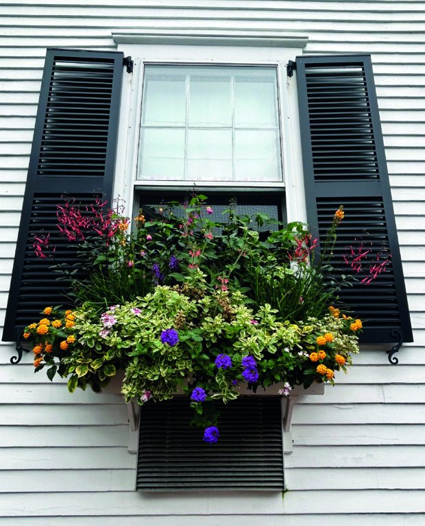 Nantucket 11 WINDOW
