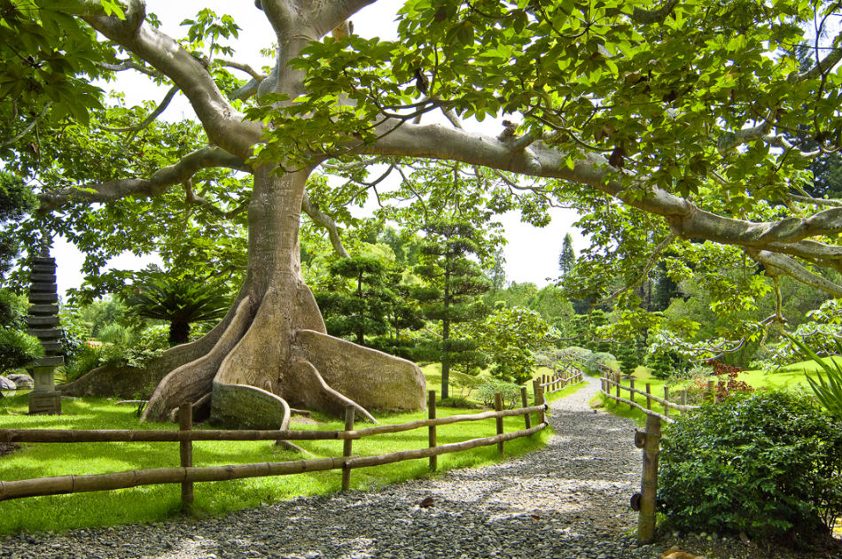 Benjamín Paiewonsky: La visión que floreció en el Jardín Botánico Nacional 2 jardin botanico santo domingo