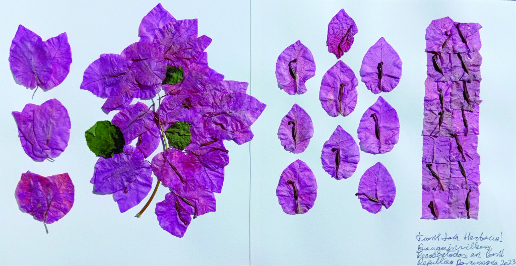 El paisaje convertido en arte: la poética de trabajar con fibras naturales 2 Frank Lara