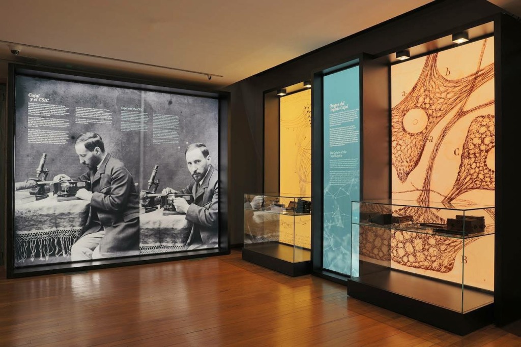Una exposición de dibujos en Madrid muestra al Ramón y Cajal más visionario e inspirador 1 ramon cajal exposicion