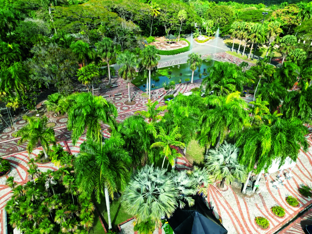De paseo por Santo Domingo: parques, historia y diversión para todos 4 Jardin Botanico portadilla