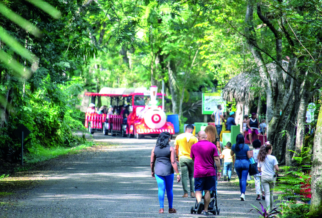 De paseo por Santo Domingo: parques, historia y diversión para todos 1 Zoodom