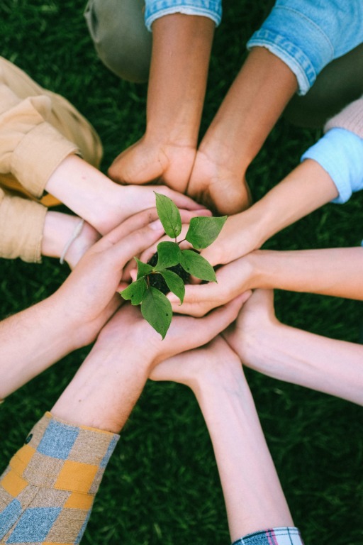 La importancia de agradecer y practicar la solidaridad en estas fechas 3 pexels shvetsa 5029919