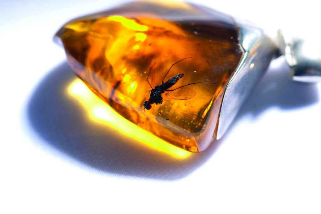 Joyería Dominicana: Identidad tallada en piedra y luz 4 Ambar dominicano