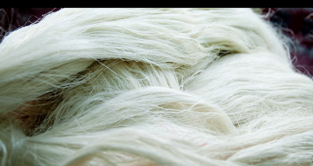 Istituto Marangoni Miami presenta la segunda edición de la beca “Silvia Tcherassi” que ahora incluye a República Dominicana 4 06 Materiales organicos