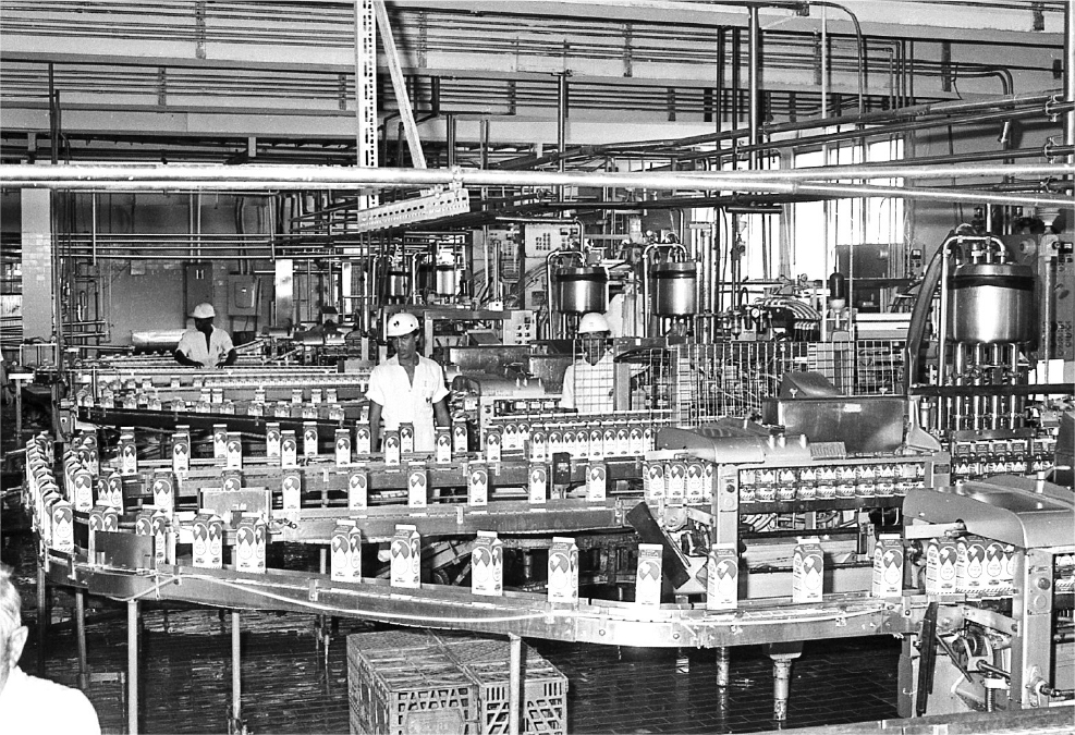 Familia Brache: Sesenta años de historia, valores y el legado que alimenta a la República Dominicana 17 Asset 16