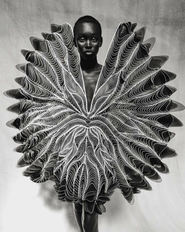 Sølve Sundsbø: la belleza que existe entre la realidad y la imaginación 2 Iris van Herpen Solve Sundsbo LRG