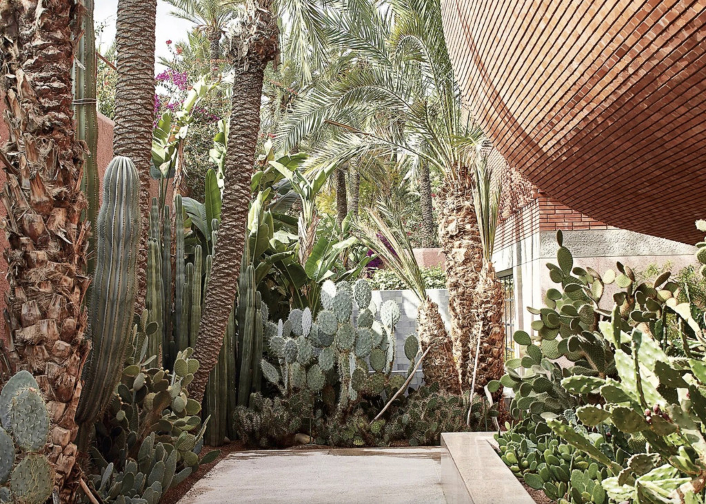 Jardín Majorelle: donde el azul cobra vida 2 Majorelle