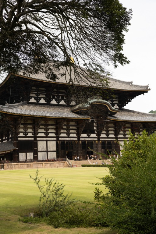 En el templo del tiempo; Nara la cuna sagrada de Japón 2 pexels bigparadox 57041068 34368459