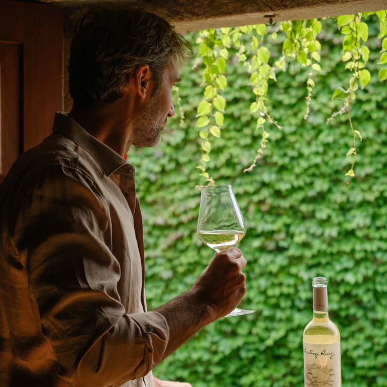 Donde el vino comienza: recorrer los viñedos de Bodega Santiago Ruiz 3 Sesion Bodega 73 1